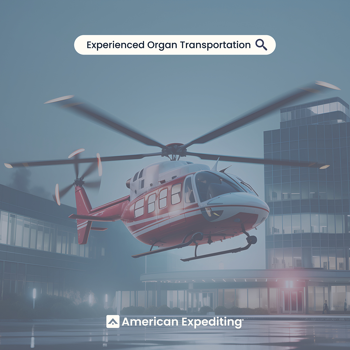 Experienced Organ Transport American Expediting